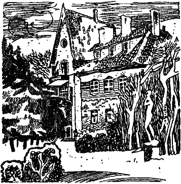 Пистоль Довбуша - i_009.png