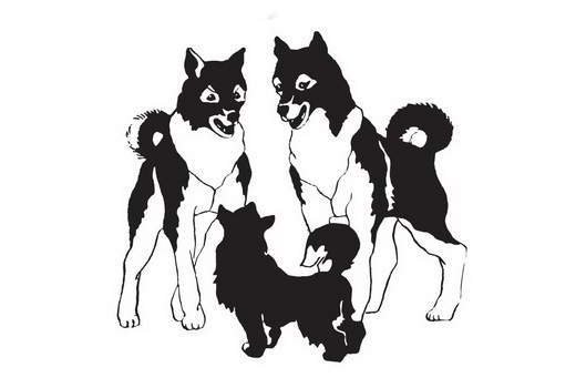 Мой друг Сенька - _14.jpg