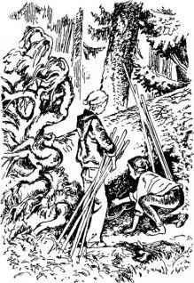 Чужая страна-черника - _18.jpg