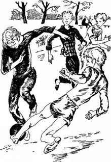 Чужая страна-черника - _16.jpg