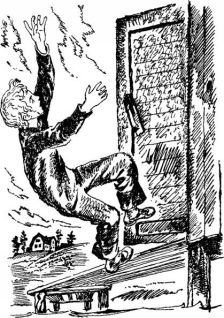 Чужая страна-черника - _9.jpg