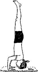 Древние тантрические техники йоги и крийи. Мастер-курс - image078.png