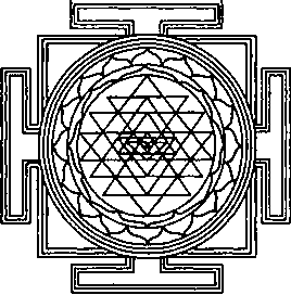 Древние тантрические техники йоги и крийи. Продвинутый курс - image011.png