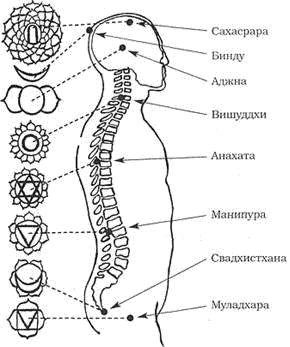 Древние тантрические техники йоги и крийи. Продвинутый курс - image064.png