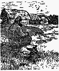 Том 1. В краю непуганых птиц. За волшебным колобком - i_005.png