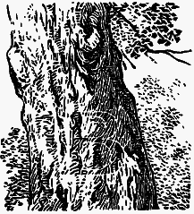 Том 1. В краю непуганых птиц. За волшебным колобком - i_009.png