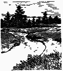 Том 1. В краю непуганых птиц. За волшебным колобком - i_011.png