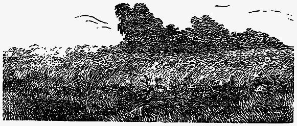 Том 2. Кащеева цепь. Мирская чаша - i_002.png