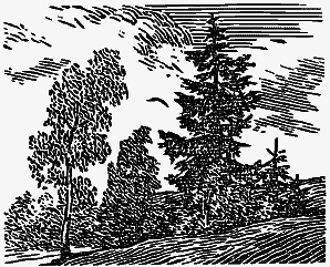 Том 2. Кащеева цепь. Мирская чаша - i_013.png