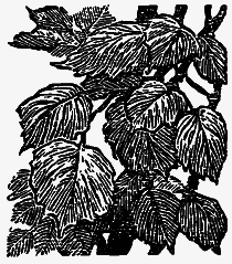 Том 3. Журавлиная родина. Календарь природы - i_003.png