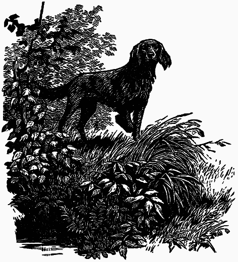 Том 3. Журавлиная родина. Календарь природы - i_006.png