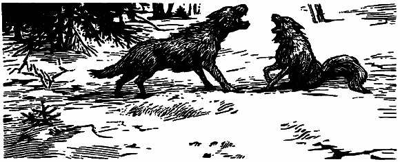 Том 3. Журавлиная родина. Календарь природы - i_014.png