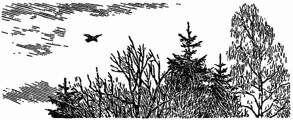 Том 3. Журавлиная родина. Календарь природы - i_016.png