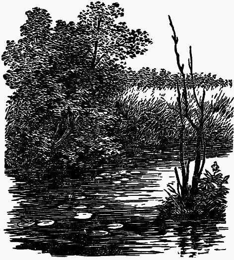 Том 3. Журавлиная родина. Календарь природы - i_018.png