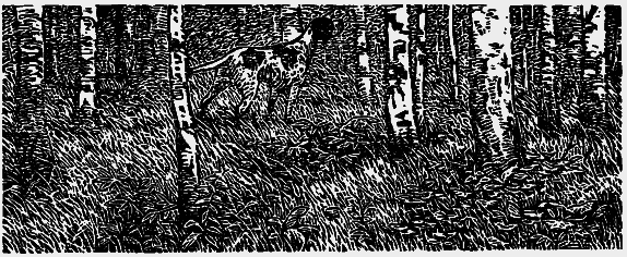 Том 3. Журавлиная родина. Календарь природы - i_019.png