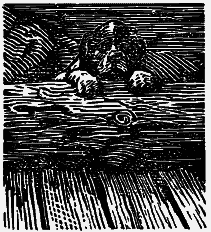 Том 3. Журавлиная родина. Календарь природы - i_020.png