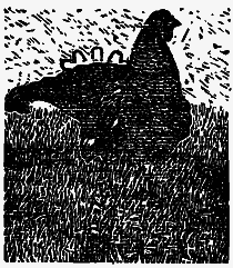 Том 3. Журавлиная родина. Календарь природы - i_024.png