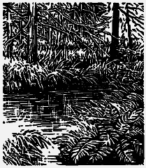 Том 3. Журавлиная родина. Календарь природы - i_026.png