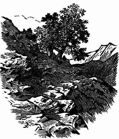 Том 4. Жень-шень. Серая Сова. Неодетая весна - i_008.png