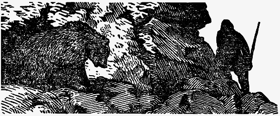 Том 4. Жень-шень. Серая Сова. Неодетая весна - i_009.png