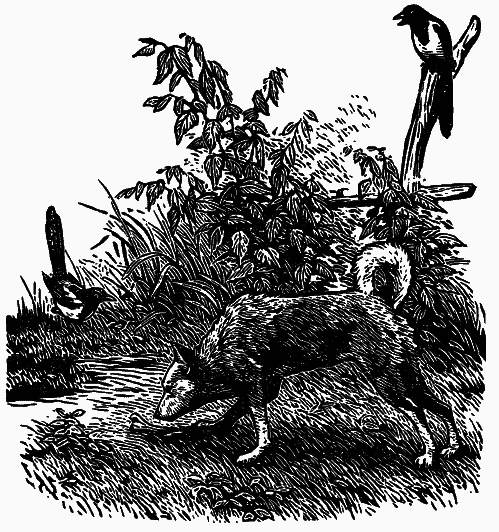 Том 4. Жень-шень. Серая Сова. Неодетая весна - i_010.png