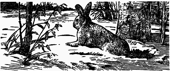 Том 4. Жень-шень. Серая Сова. Неодетая весна - i_011.png