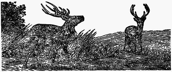 Том 4. Жень-шень. Серая Сова. Неодетая весна - i_015.png