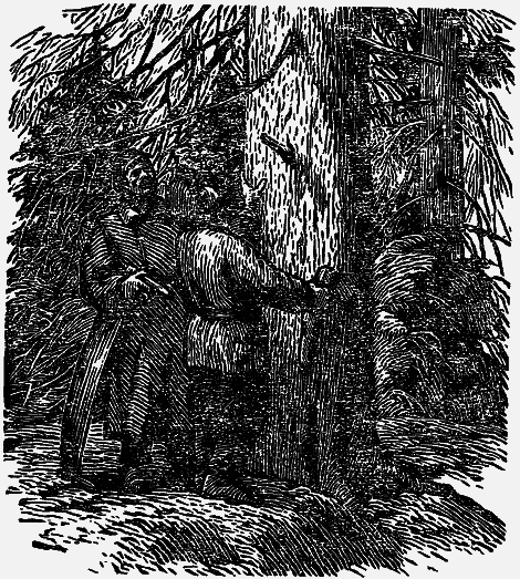 Том 4. Жень-шень. Серая Сова. Неодетая весна - i_016.png