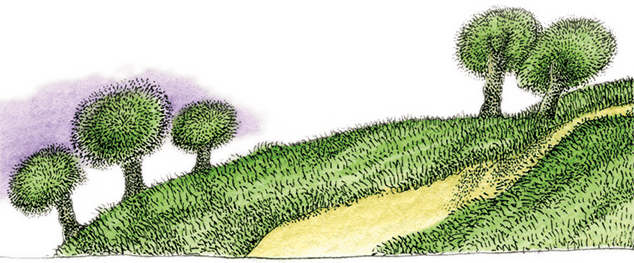 Волшебные сказки Испании - i_012.png