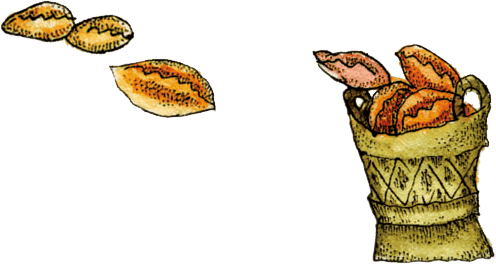 Волшебные сказки Испании - i_019.png