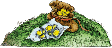 Волшебные сказки Испании - i_021.png