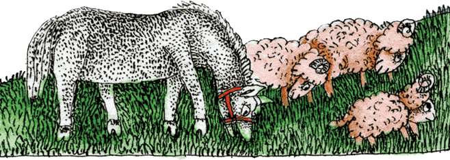 Волшебные сказки Испании - i_027.png