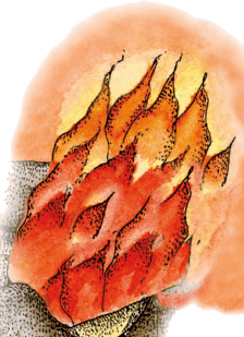 Волшебные сказки Испании - i_071.png