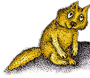 Волшебные сказки Испании - i_073.png