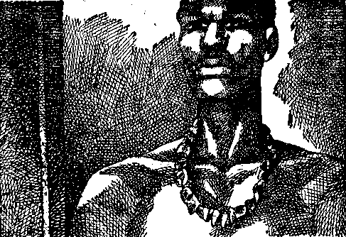 Призраки отеля «Голливуд» - pic_54.png