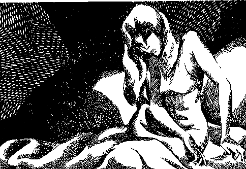 Призраки отеля «Голливуд» - pic_58.png