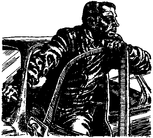 Инопланетянин (сборник) - pic_14.png