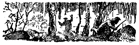 Снежный человек (илл. И. Архипова) - pic_19.png