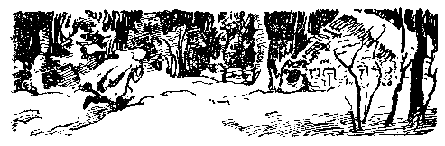 Снежный человек (илл. И. Архипова) - pic_62.png