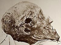 Нашествие. Суровые законы - i_068.jpg