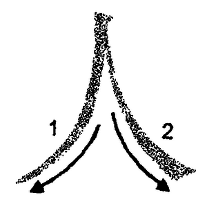 Кандзявые эссе - img_19.png