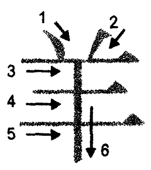 Кандзявые эссе - img_37.png