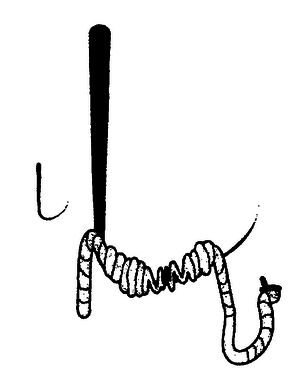 Кандзявые эссе - img_115.png