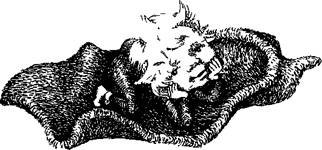 Эй, прячьтесь! - any2fbimgloader20.jpeg