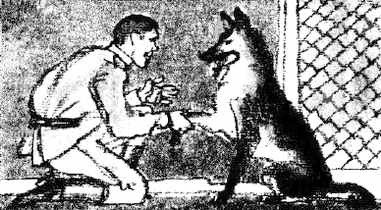 Жили-были солдаты (сборник) - i_039.jpg