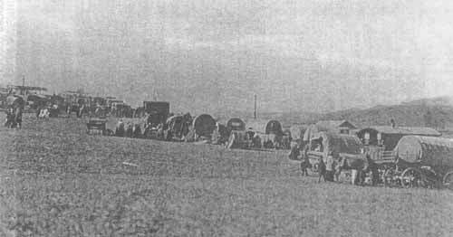 Цыгане. Тайны жизни и традиции - any2fbimgloader8.jpeg