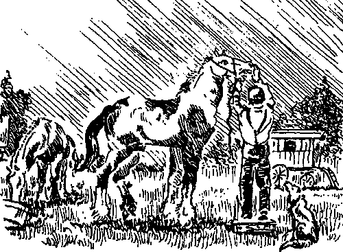 Цыгане. Тайны жизни и традиции - any2fbimgloader66.png