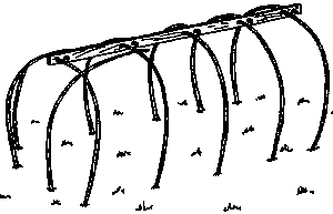 Цыгане. Тайны жизни и традиции - any2fbimgloader77.png