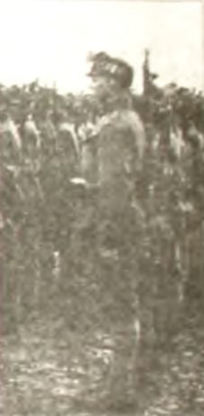 Союз плуга и трезуба. Как придумали Украину - i_201.jpg