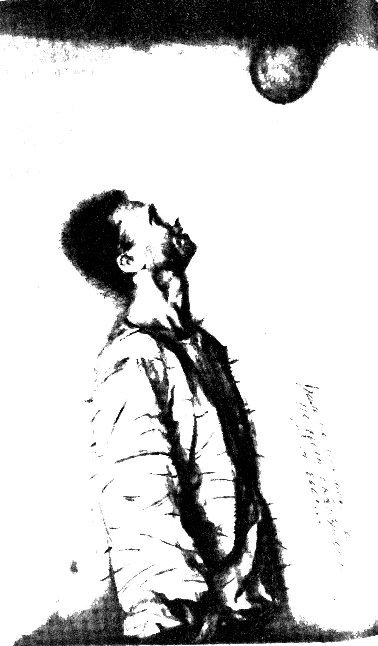 Город. Все живое… (сборник) - i_003.jpg